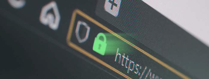 Secure web browsing